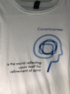 Consciousness is the world reflecting upon itself for refinement of spirit. - T-shirt Front