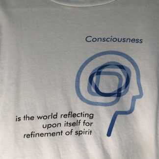 Consciousness is the world reflecting upon itself for refinement of spirit. - T-shirt Front